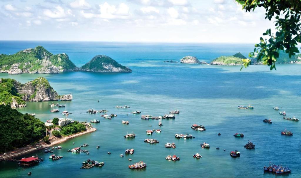 Thu Thuy Cruise - Travel Hotel Chan Chau Екстериор снимка